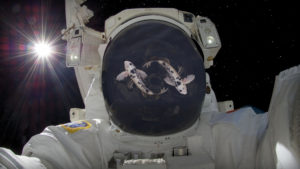 Read more about the article Pisces Astronaut