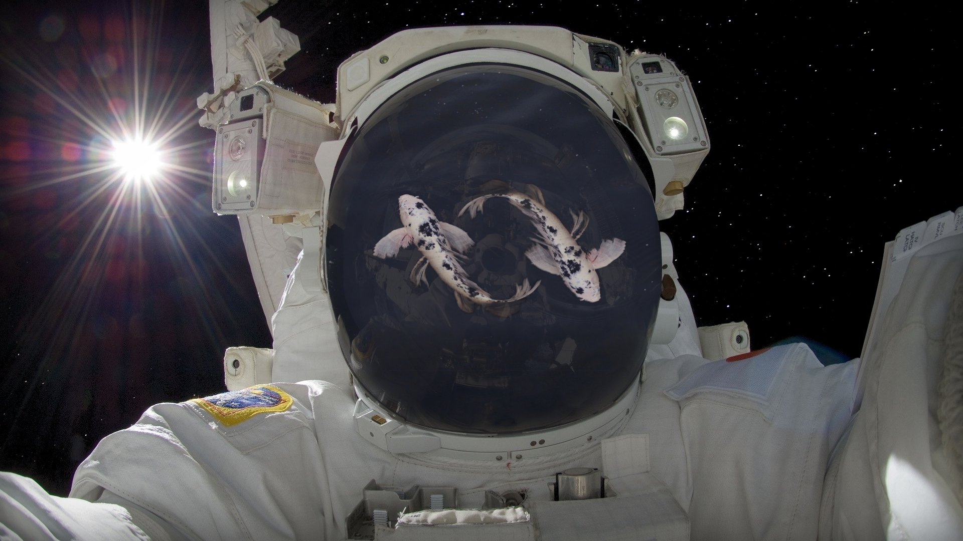 You are currently viewing Pisces Astronaut