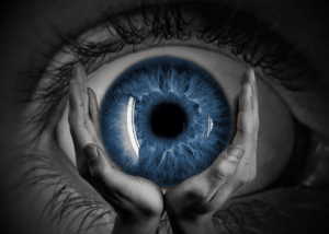 Read more about the article Blue Eye