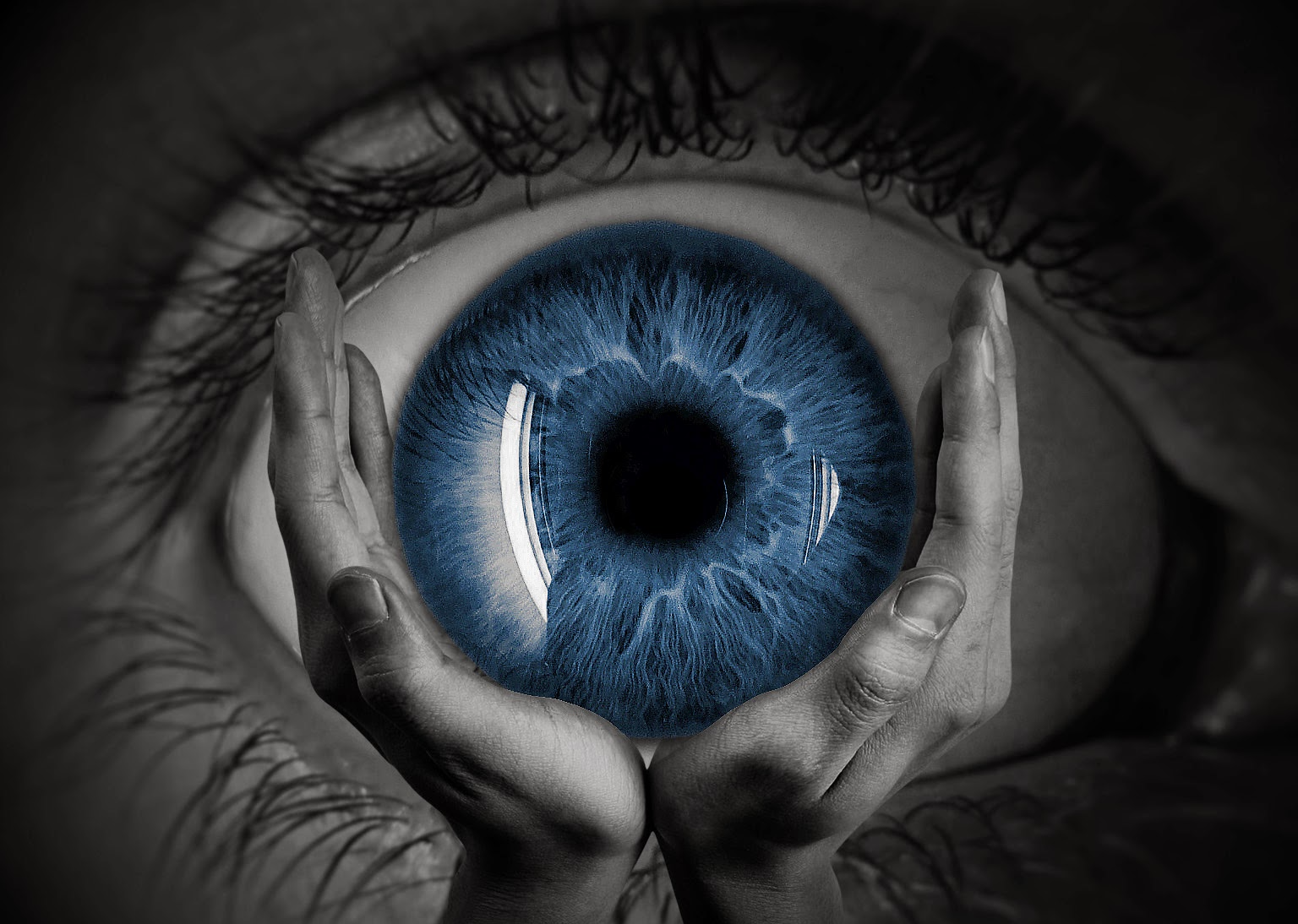 Read more about the article Blue Eye